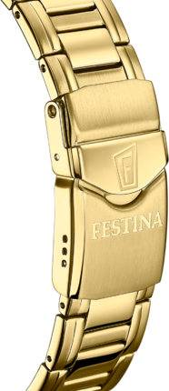 Часы Festina Automatic F20479/2