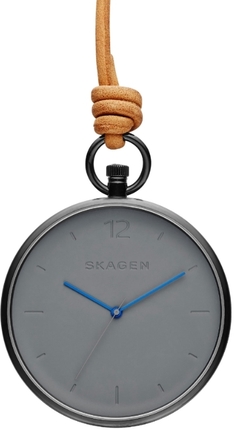 Часы SKAGEN SKW6189
