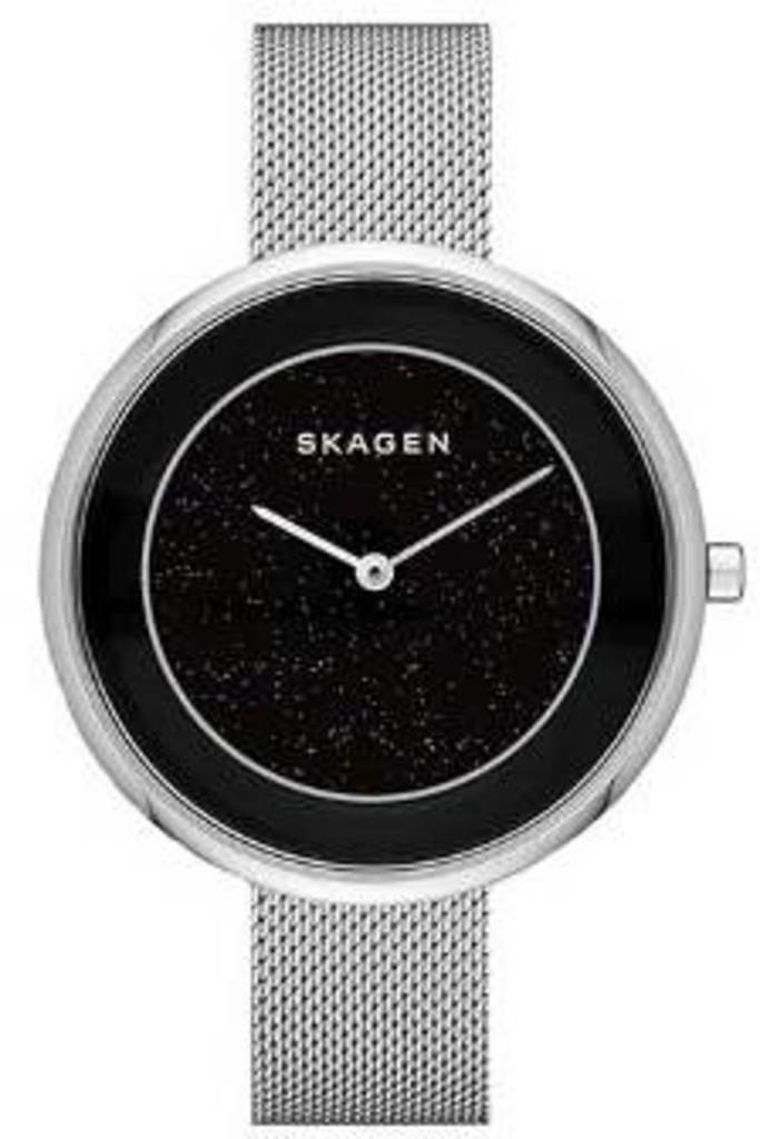 

Часы SKAGEN SKW1070, SKW1070