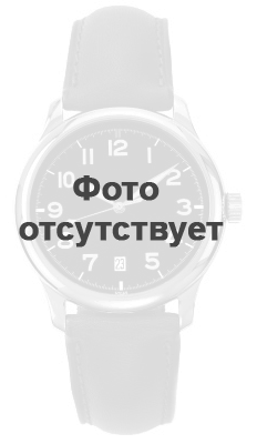 

Часы DKNY2564, NY2564